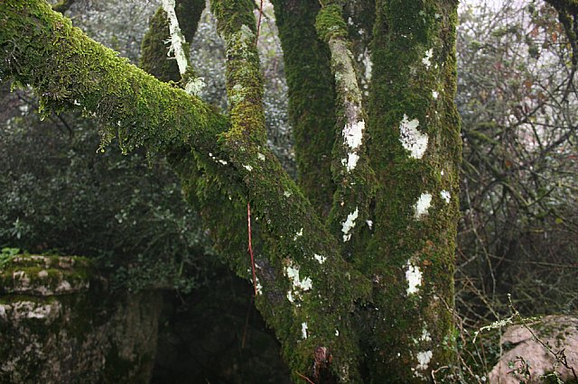 Ruta senderista Torcal de Antequera y Caminito del Rey (Mlaga) - 105